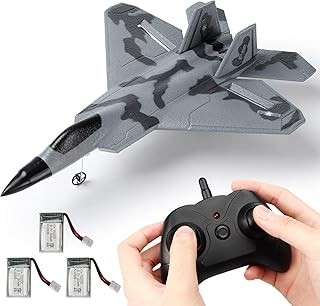 RC Plane -F22 Raptor Model Toy Airplane Glider, 2 Channels 2.4 GHz Remote Control Airplane Easy to Fly RC Jet,Kids & Beginners F22 Easy to Fly Toy for Fighter Model Glider