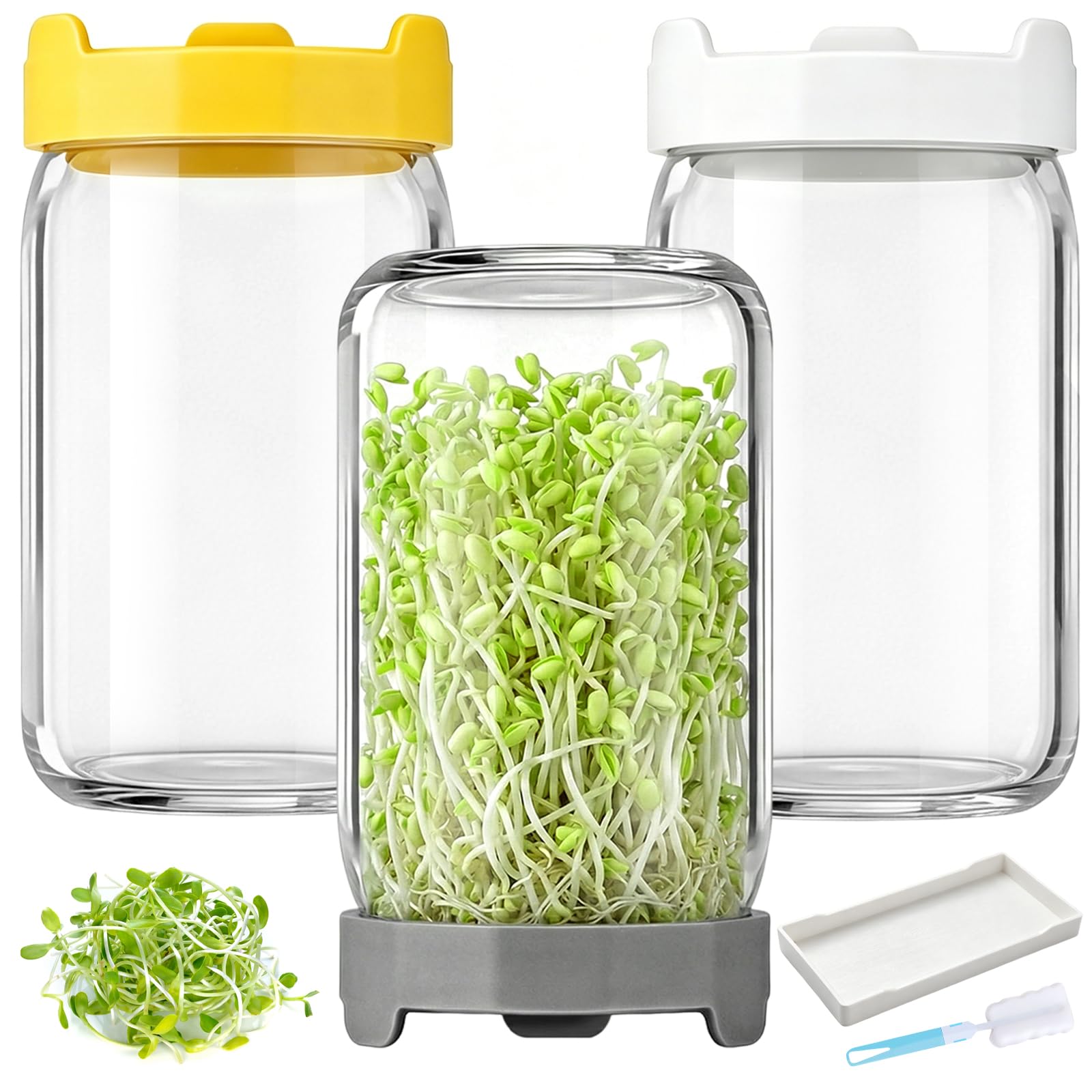 Lot De 3 Bocal De Germination, 900ml Pots Mason à Large Ouverture Couvercles De Germination, Pots De Germination Lot, Plateau à éGouttage Et Brosse Nettoyage, pour La Luzerne Potager Familial