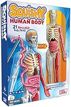 SmartLab Toys Squishy Human Body, Multicolor, Standard - coolthings.us