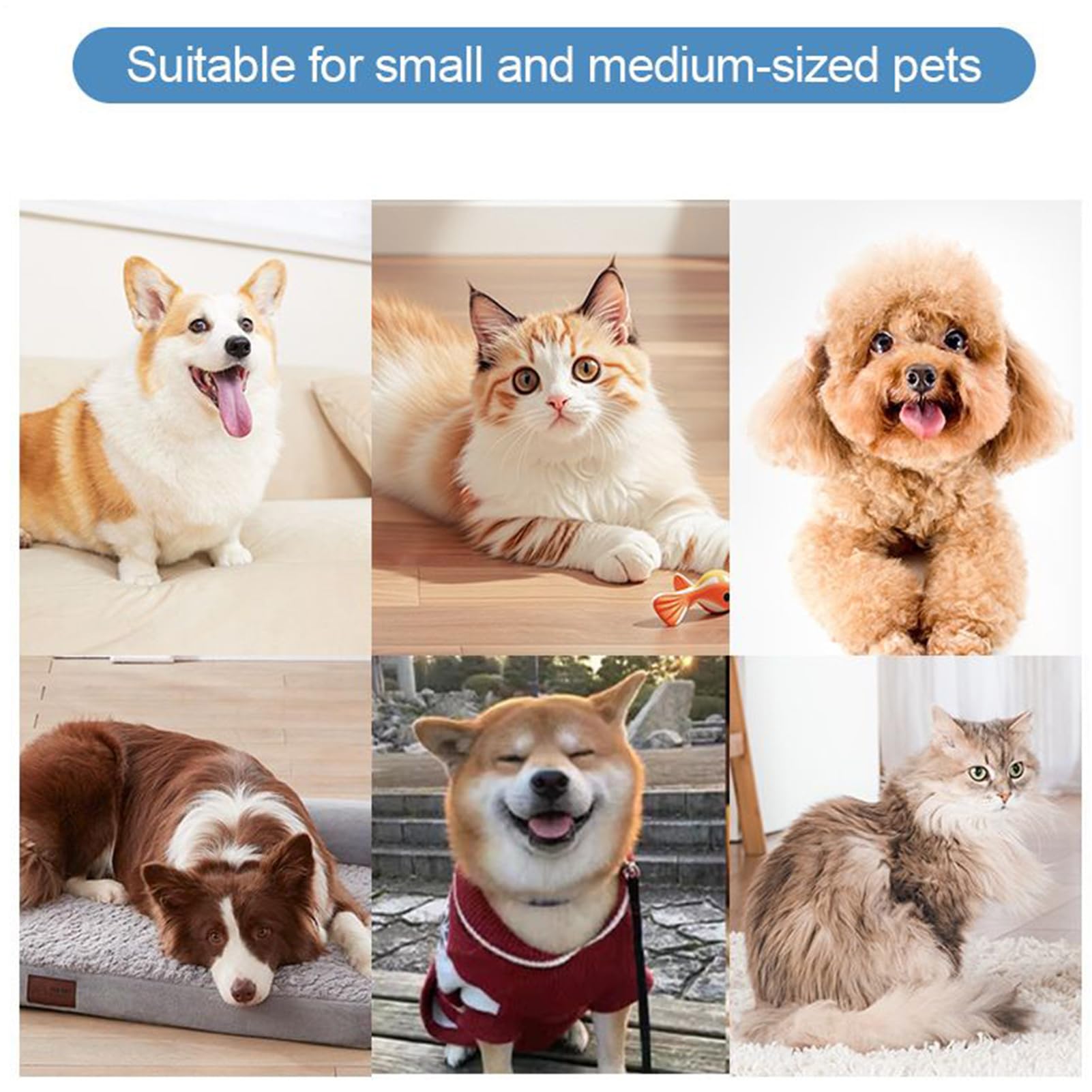 Nettoyeur de Pattes de Chien Lave-Pieds Pour Chien | Conception Anti-Éclaboussures 2 Vitesses Outils de Toilettage et Nettoyage pour le Bain Extérieur Camping Randonnée