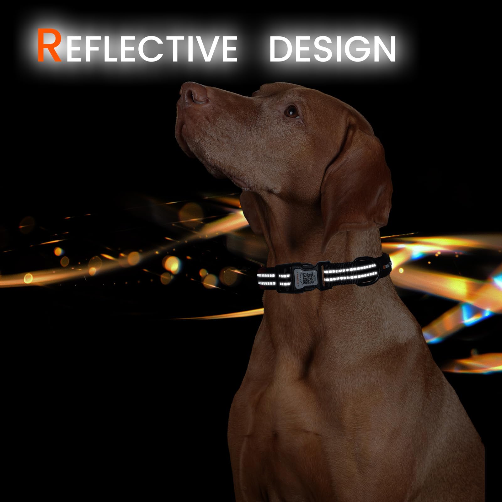 Collare riflettente per cani con etichetta con codice QR, collare per cani personalizzato, visibilità notturna di sicurezza, funzione anti-perdita (nero, M)