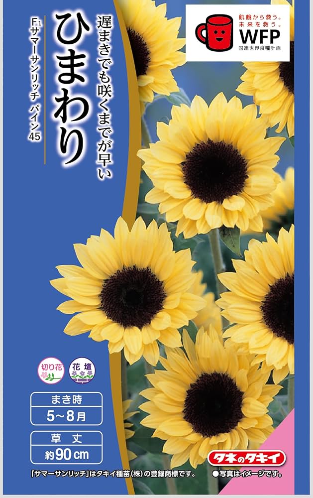 ひまわり Amazon | タキイ種苗 ひまわり F1サマーサンリッチパイン45 | 野菜