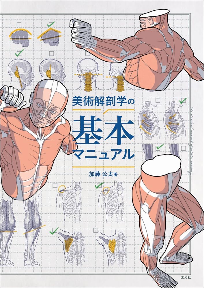 美術解剖学5点セット 71k-dy6-t9L.jpg