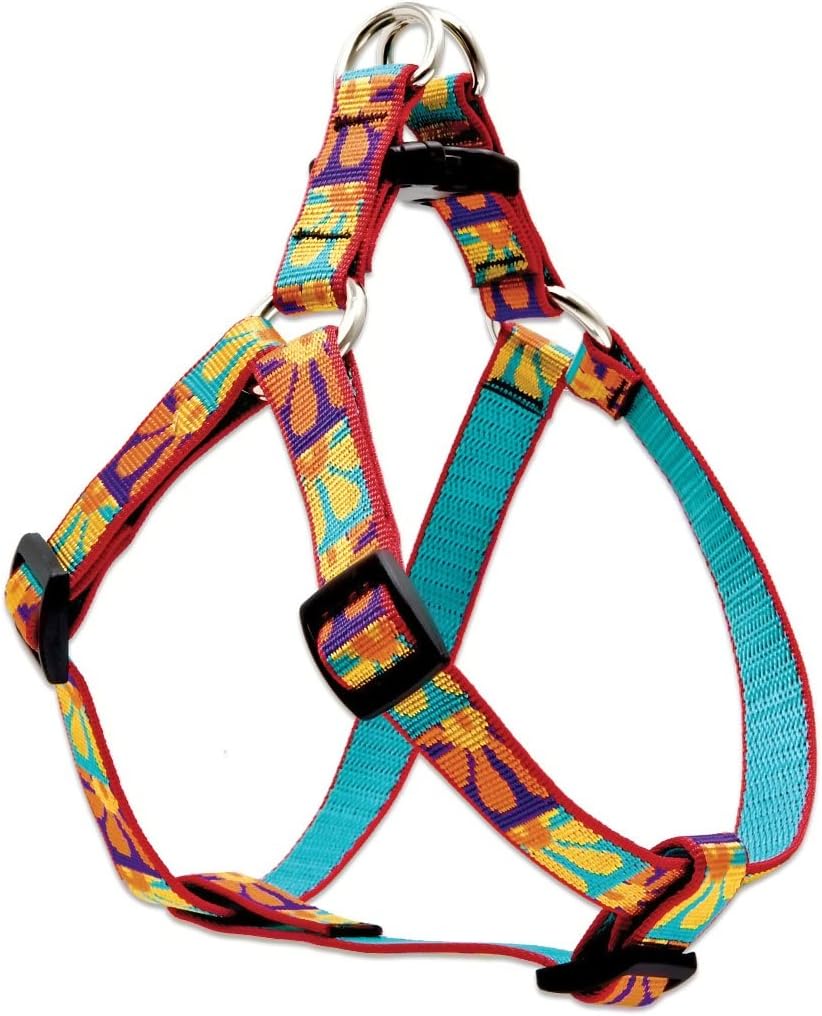 LupinePet Originals 3/4" Crazy Daisy 20-30" Step In Harness for Medium Dogs