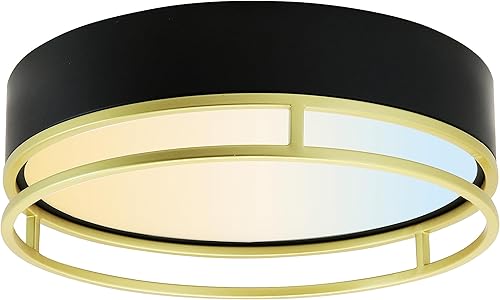 Sunlite 81045 - Lámpara de techo decorativa doble redonda LED de 13 pulgadas, 20 vatios (100 W), 1000 lúmenes, color sintonizable de 30 K40 K50 K,