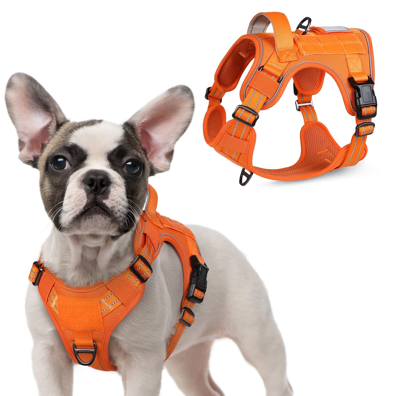 rabbitgoo Tactical Dog Harness for Small Dogs, No Pull Military Service Vest with Handle & Molle, Easy Control for Training Walking, Adjustable