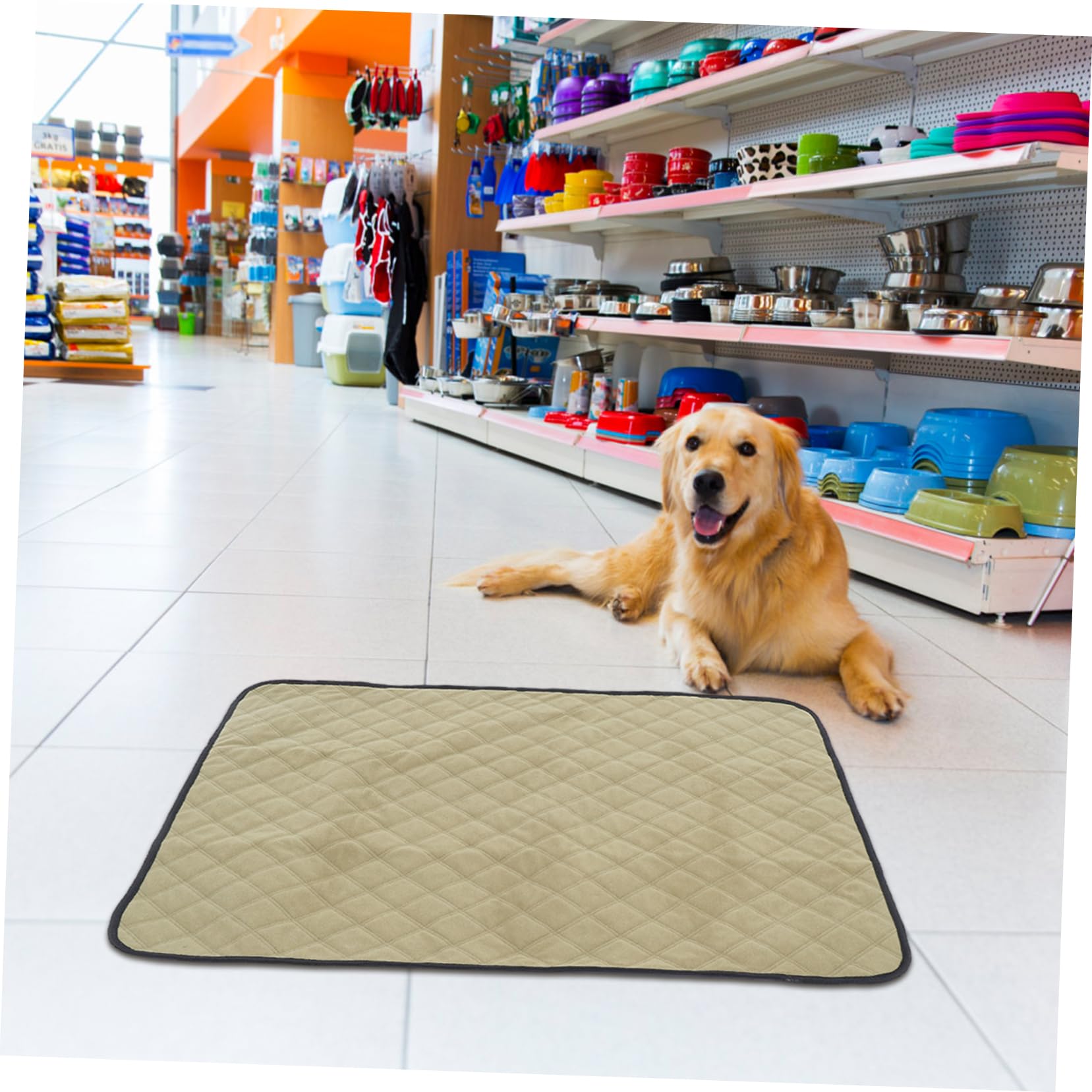 Toyvian 2pièces Tapis Urine Lavable Et Réutilisable pour Chien Tapis De Propreté Imperméable pour Parc Et Cage Apprentissage Propreté pour Chiots