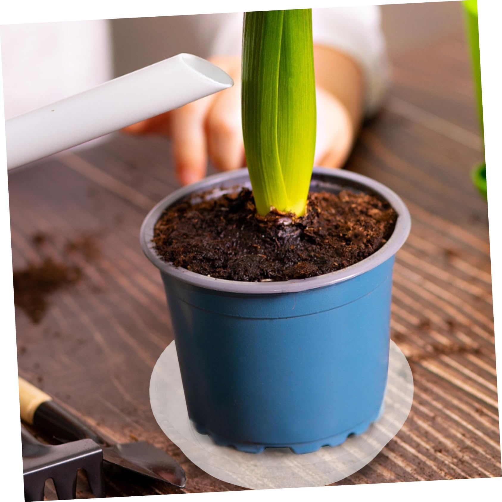 20stücke Kunststoff Pflanzenuntersetzer Runde Blumentopf Drip Trays Tablett Für Innen Garten Pflanzen Wasserabfluss Untersetzer