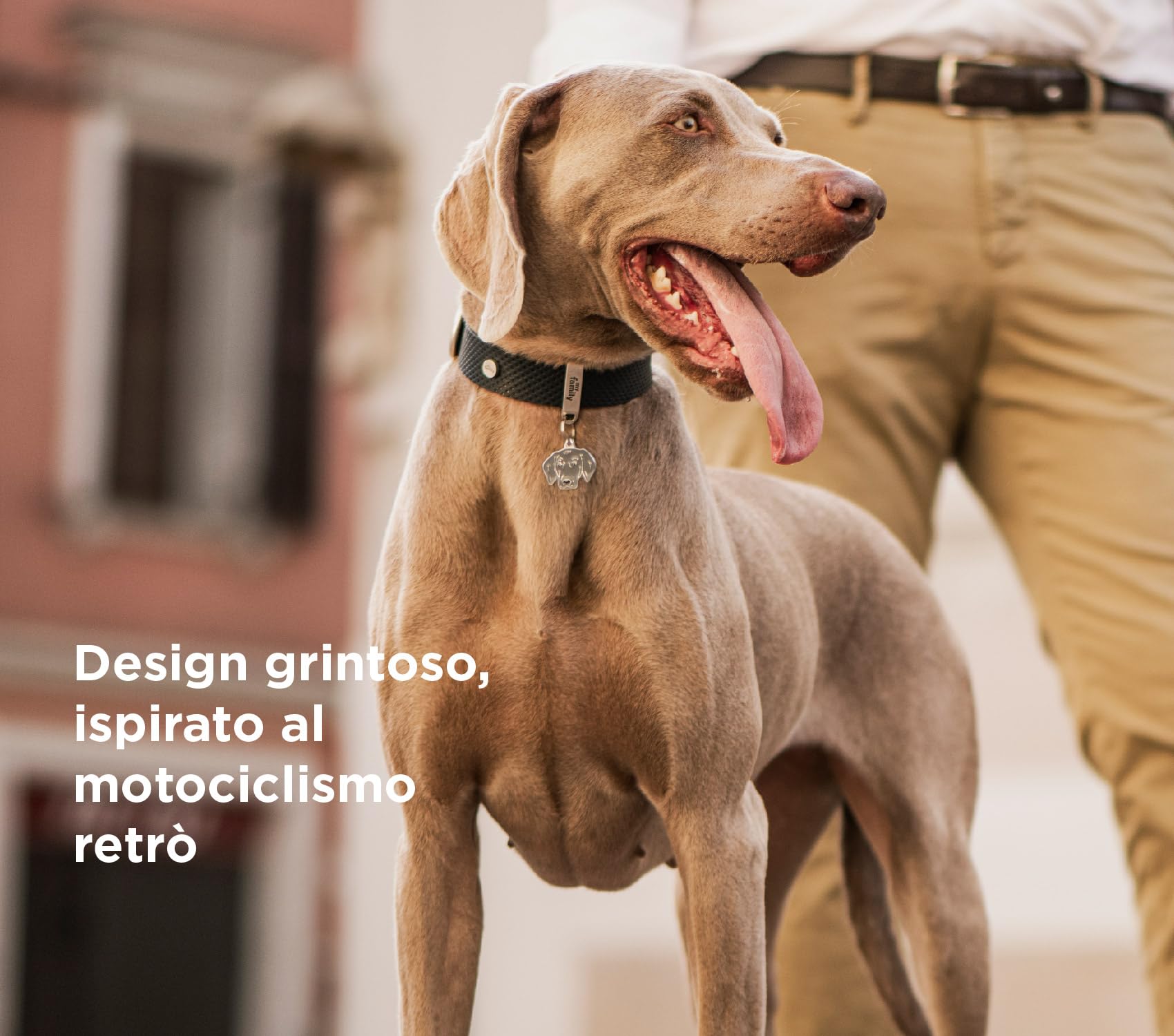 MyFamily Guinzaglio per Cane in Vera Pelle Italiana Made in Italy, Finiture Metalliche in Argento Antico, Pratico e Confortevole, Fatto a Mano, Collezione Monza
