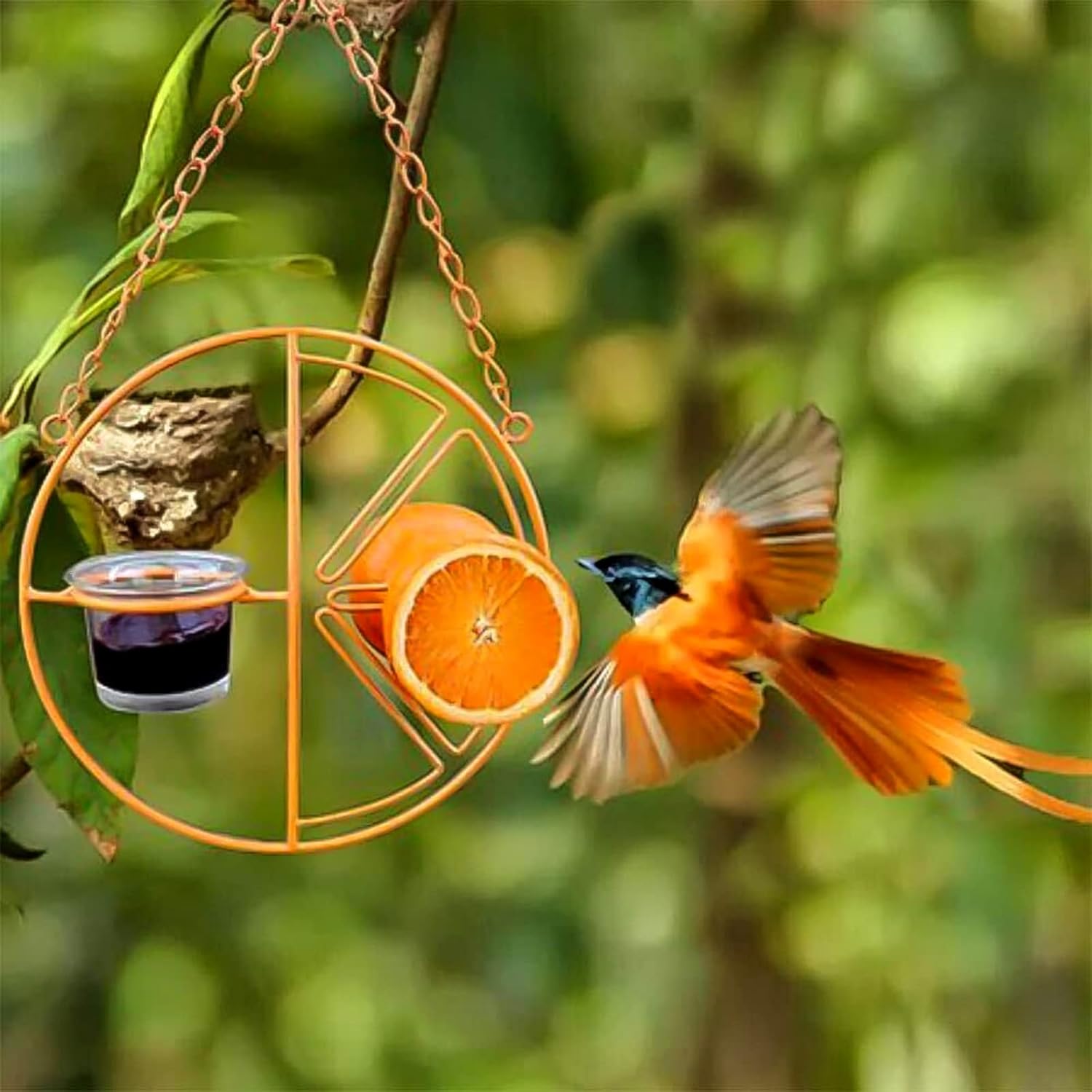 Functional Hummingbird Orioles Bird Feeder with Fruit Placing Jelly Feeding Cup for Outdoors Hanging Backyard Balcony Garden Deck Porch, Orange 7-Inch