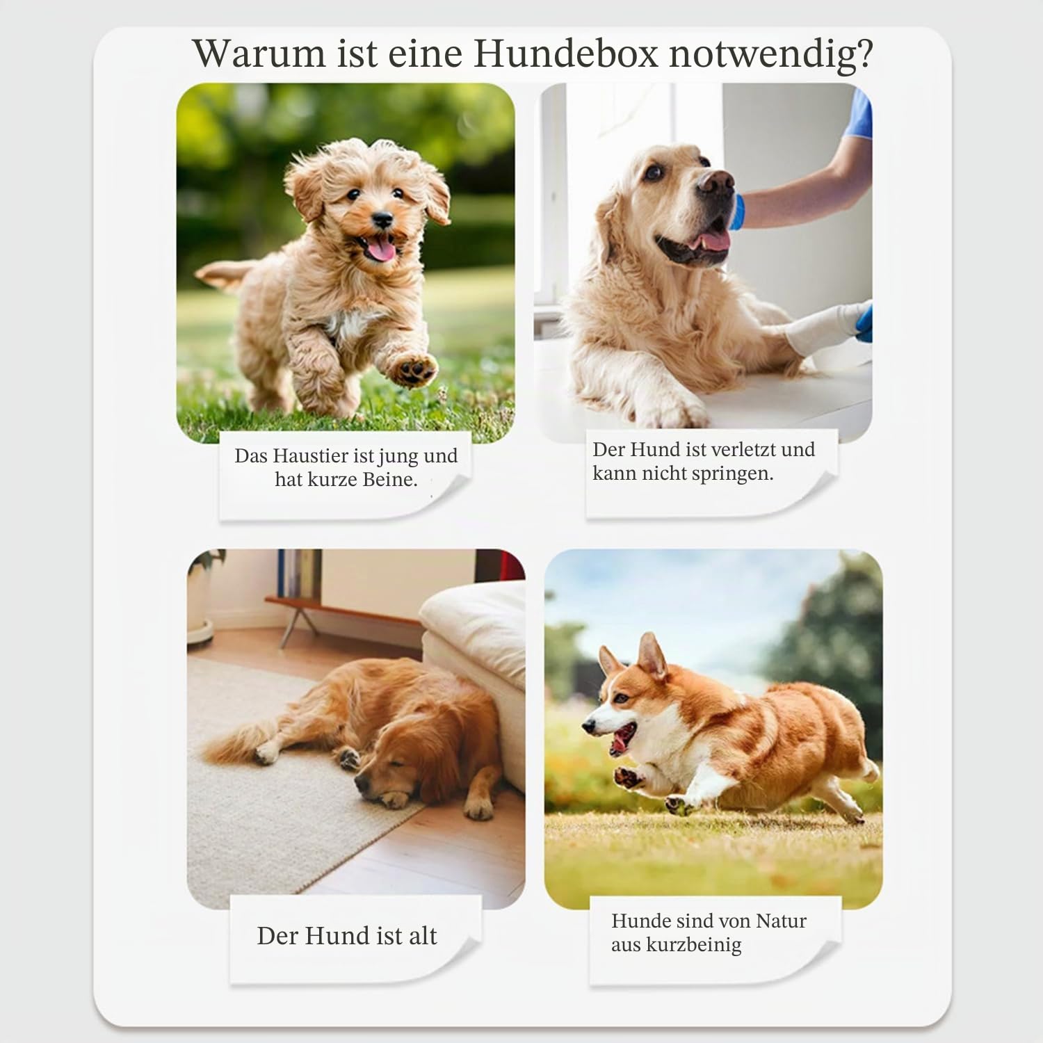 Rampe für kleine Hunde, Rampe für Hunde, Bett für Hunde, klappbares und verstellbares Sofa, mit rutschfester Matte, mit höhenverstellbarem Griff von 23-47 cm, geeignet für Betten und Sofas