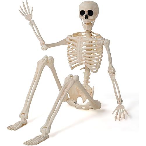 JOYIN 36" Halloween Skeleton Decor, 3FT Full Body Stayable Movable Joints, Posable Hanging Skeletons for Halloween Decoration, Yard, Graveyard, Haunted House Props, Spooky Scene Party Favor