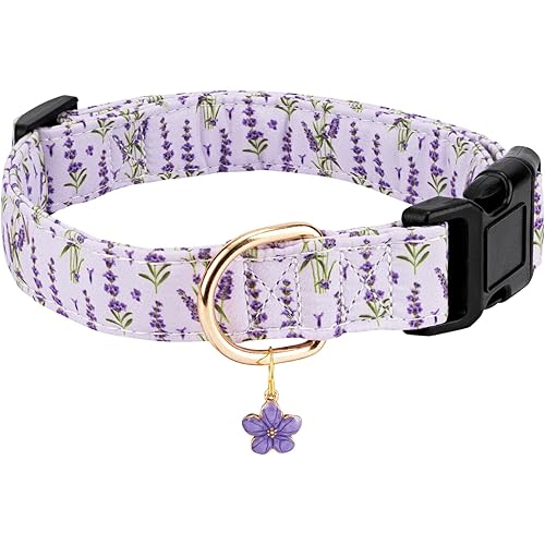 Personalized Dog Collars,Adjustable Puppy Collars with Safety Buckle for Small Medium Large Dogs,Cute and Unique Pink Cherry Pattern Pet Collar for Boy Girl Dogs. (Purple Lavender, S)