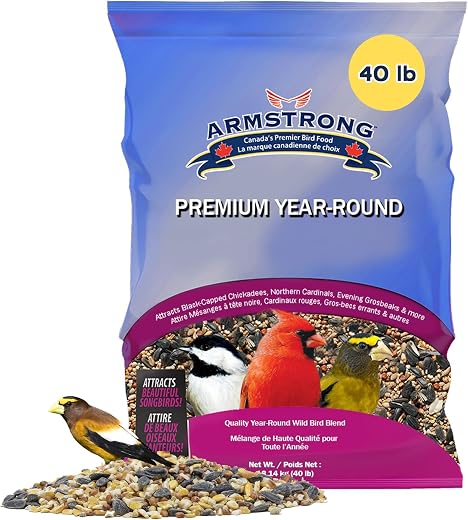 Bird Food