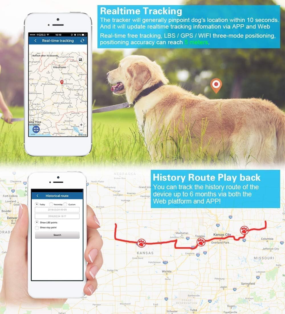 Zeerkeer Localizador GPS Perros y Gatos con App y Collar para Mascotas | Localización en Tiempo Real, Historial 180 Días, Geovalla, IP66, Batería 500 mAh, SOS, Avisos por SMS, Uso Web