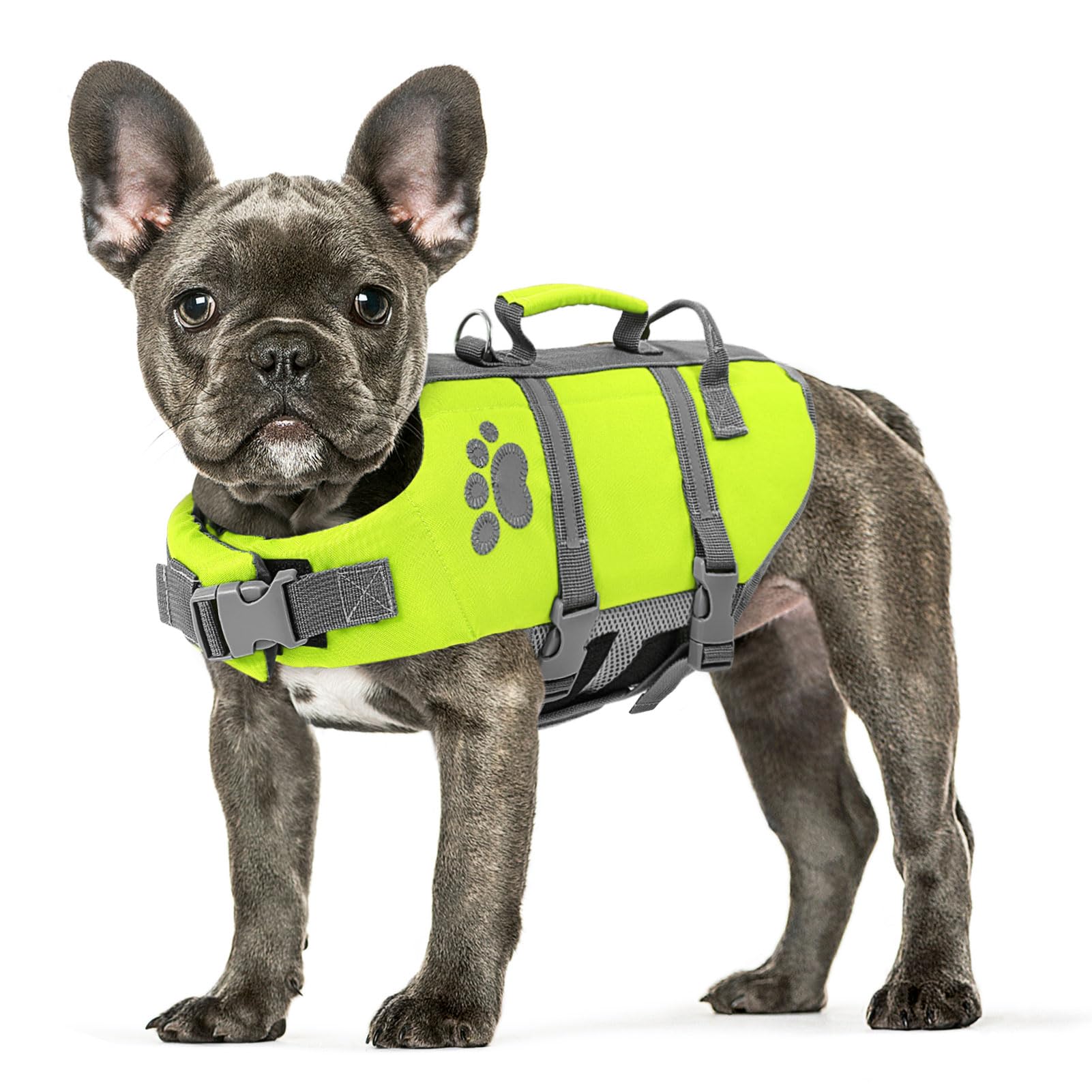Queenmore Small Dog Life Jacket, Ripston Dog Life Vest, Small Doggie Life Vest for Swimming, Safety Puppy Swimming Vest with Handle, Puppy Preserver for Boating, Pet Lifesaver for Water Pool