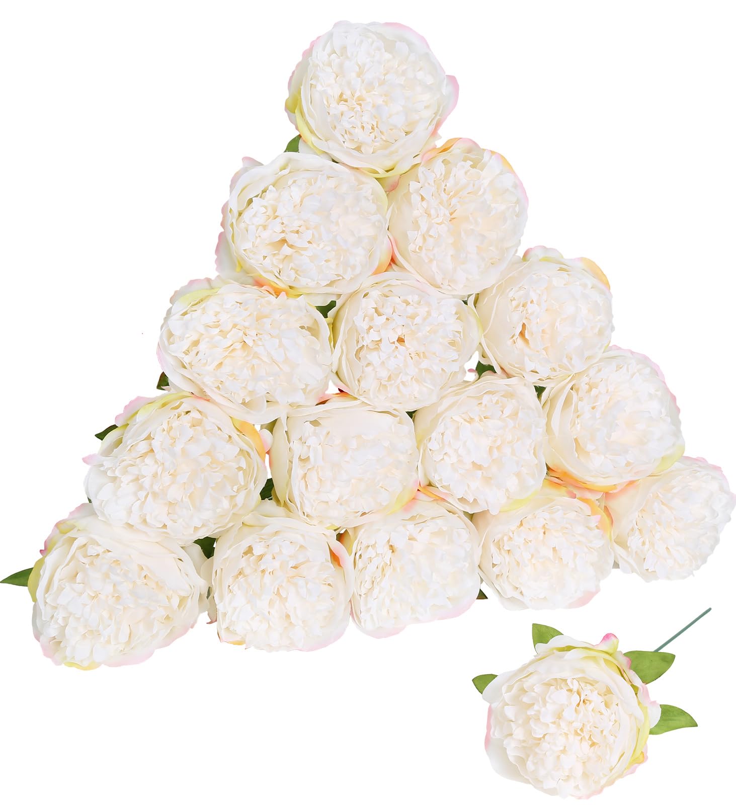 product_img5