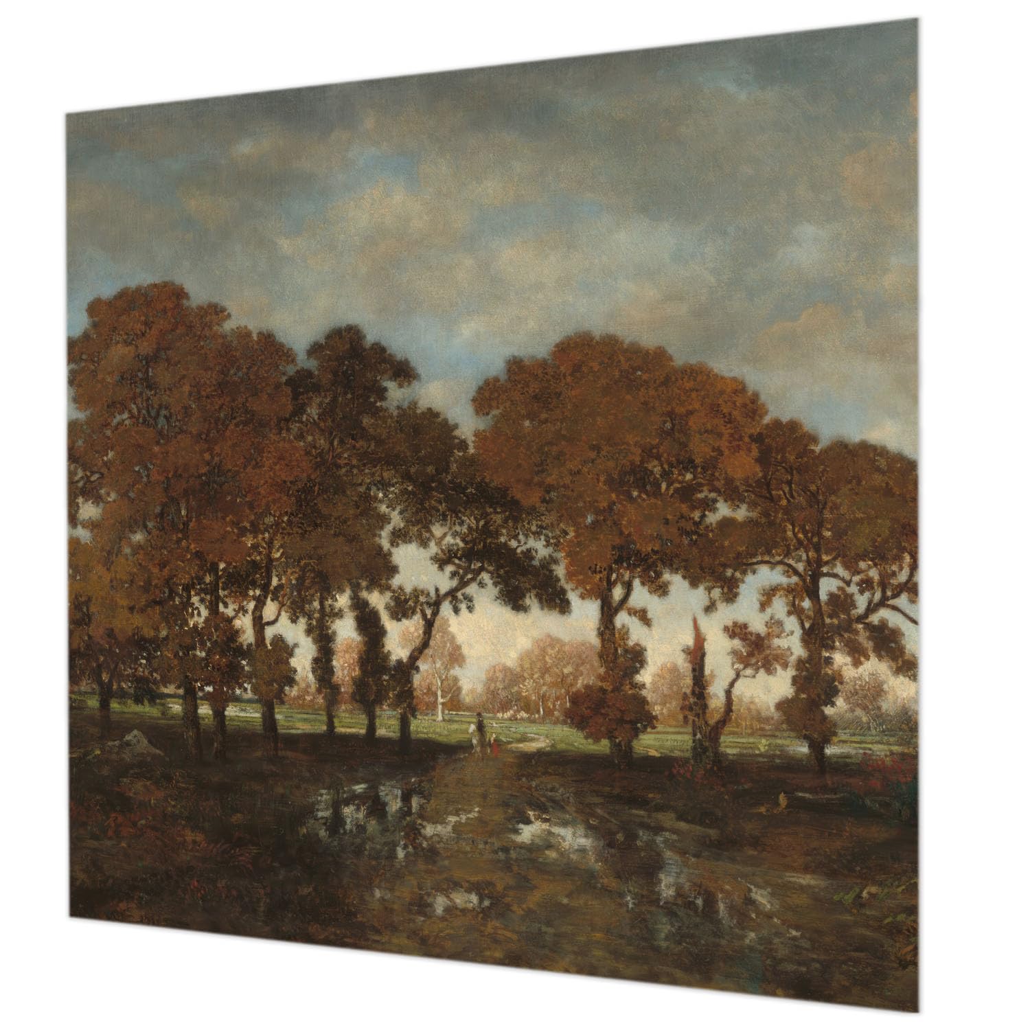 Papier peint facile à nettoyer 250x250 cm paysage idyllique haute qualité