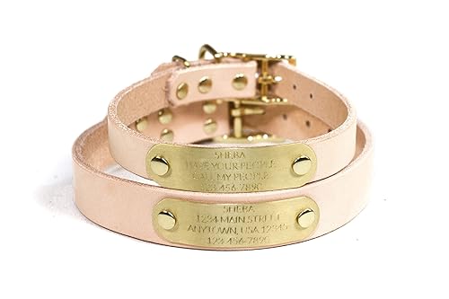 amazon dog collar with name