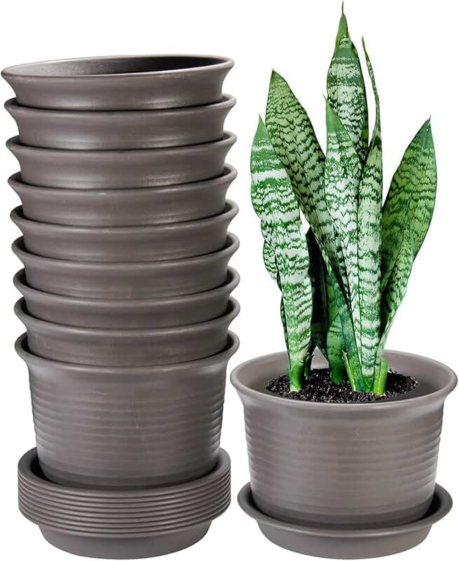 Amazon.fr Pots de fleurs