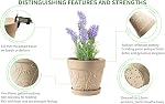 Pots de plantes à l'intérieur avec drainage & Sauceur, 2Pack 7 inch Pots de fleurs Planters extérieurs pour les plantes intérieures Jardin Maison Décor Cactus Succulent, forte imitation résine Terracotta, motif de vigne Embossé