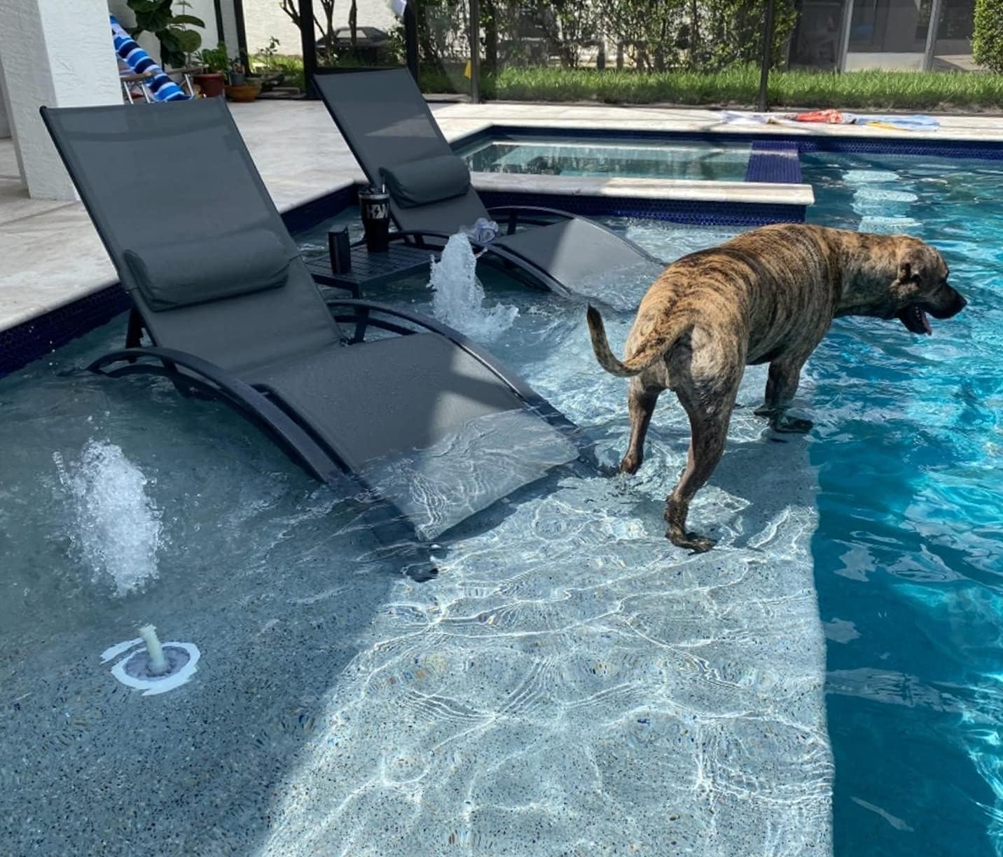 PURPLE LEAF Patio Chaise Lounge Set of 3 Outdoor Lounge Chair Beach