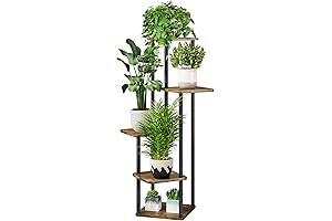 Elegant 5-Tier Indoor Plant Stand for Living Room Decor