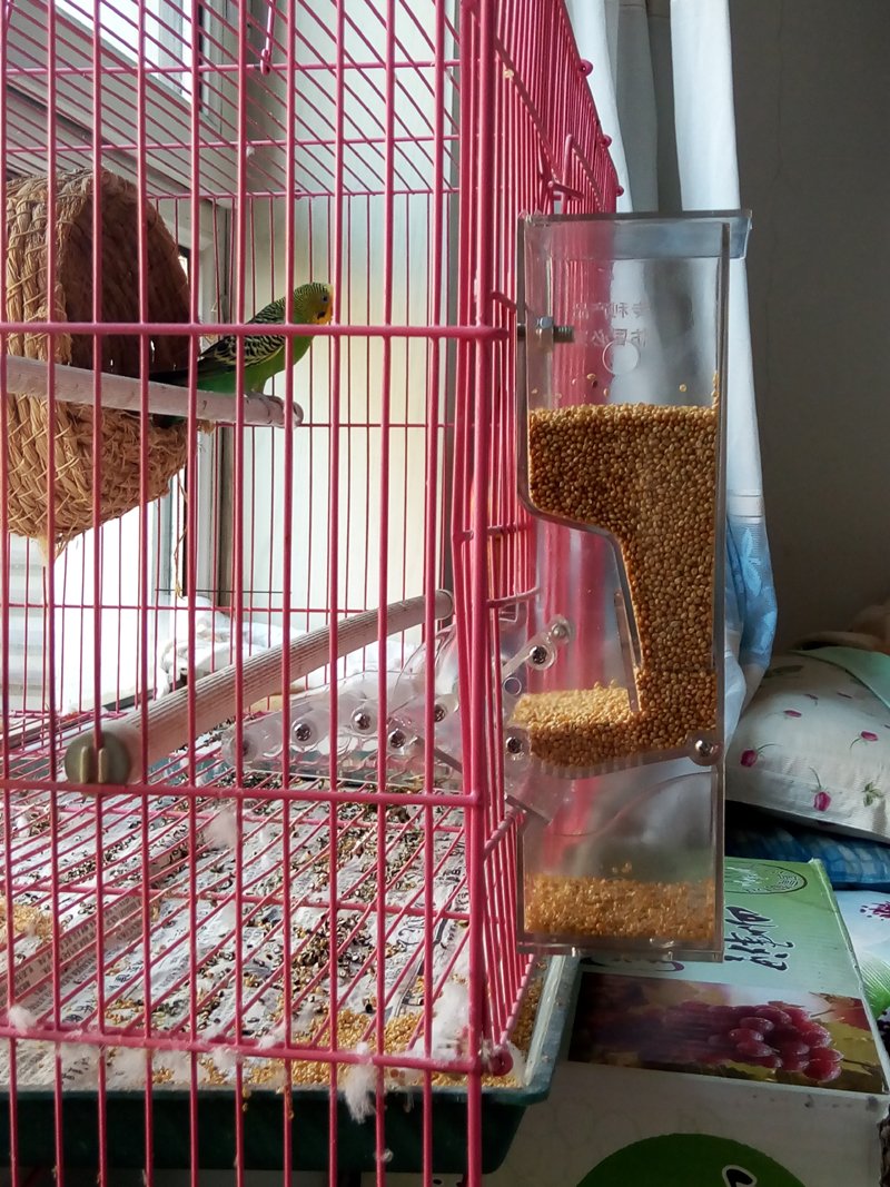 Mangeoire à Oiseaux Avec Perchoir Pour Cage - Anti-éclaboussures, Facile à Remplir - Pour Perruches, Calopsittes…