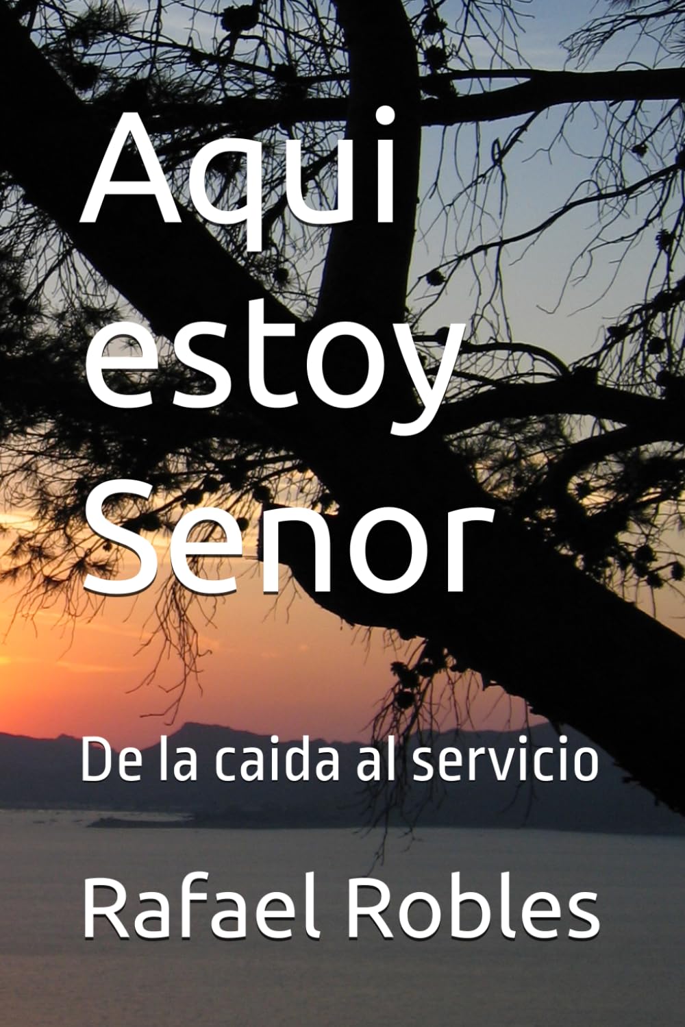 Aqui estoy Senor: De la caida al servicio