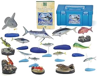 Amazon.co.jp: 人気の海水魚ランキング