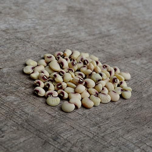 Miniatura 9 de Pink Eyed Purple Hull Cowpea - 50 semillas - Variedad de guisantes de campo sureño de reliquia, cultivadas en Estados Unidos, semillas de guisante