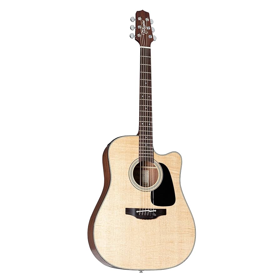 Amazon | Takamine タカミネ Pro Series 2 Dreadnought Cutaway