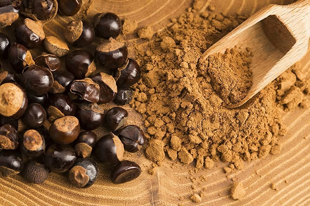 • Guarana Pulver aus Wildwuchs • 1000g schonend getrocknet • Rohkostqualität • 100% naturbelassen • Hochwertiges Superfood aus dem Amazonasgebiet • Direkt vom Importeur