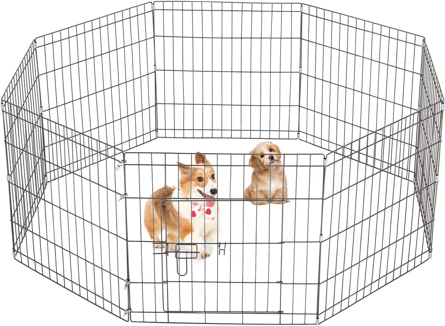 rabbit dog training pen