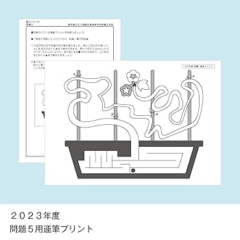 京都国立小学校　入試問題集 39 全国国立小学校入試対策シリーズ 京都教育大学附属京都小