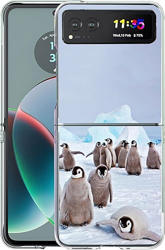 Miniatura 6 de Bcov Funda rígida para Motorola Razr 2023, diseño de gato verde, amarillo, antiarañazos, sólida, a prueba de golpes, para Motorola Razr 2023