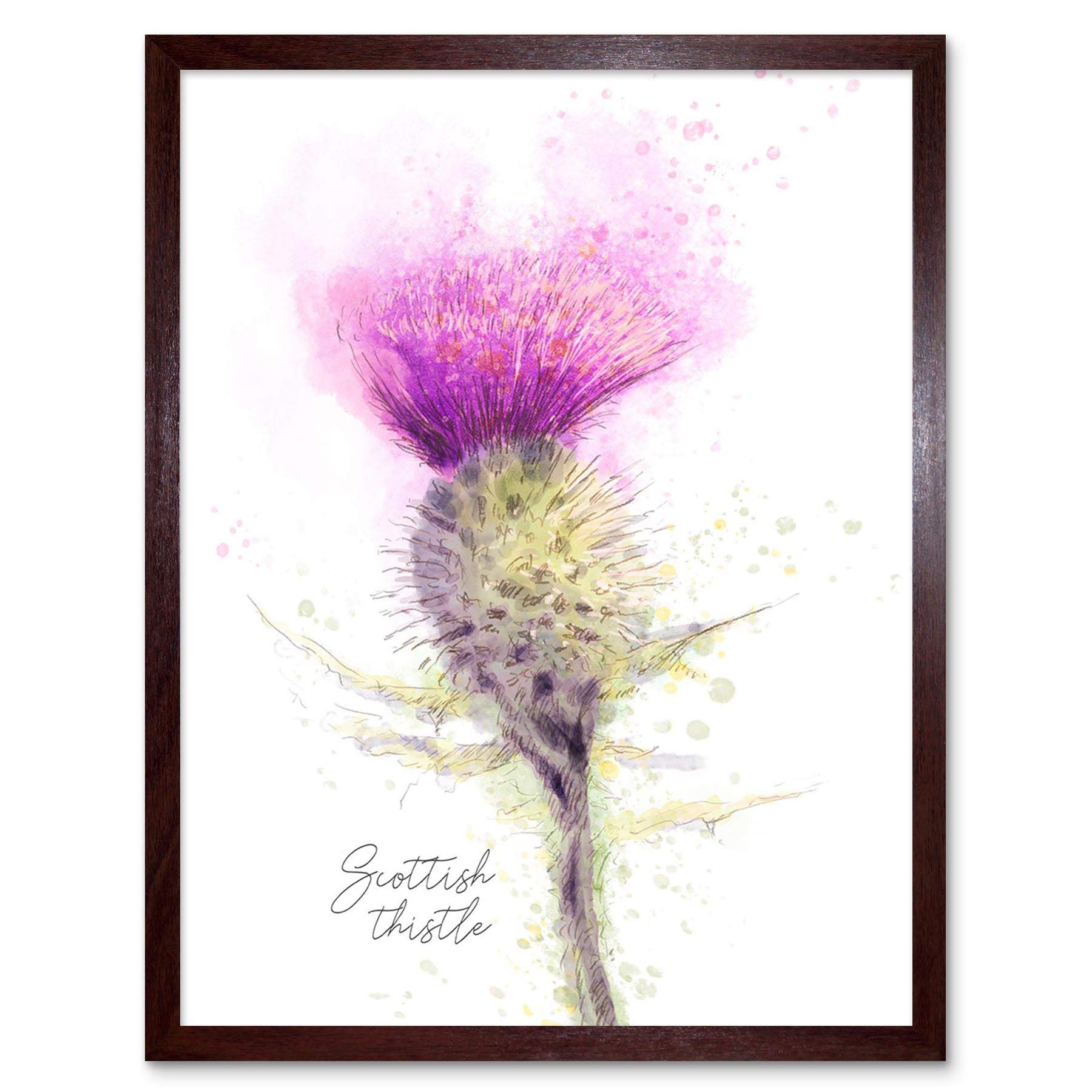 Wee Blue Coo Scottish Thistle Flower Head Watercolour Scotland Art Print Framed Poster Wall Decor 12X16 Inch