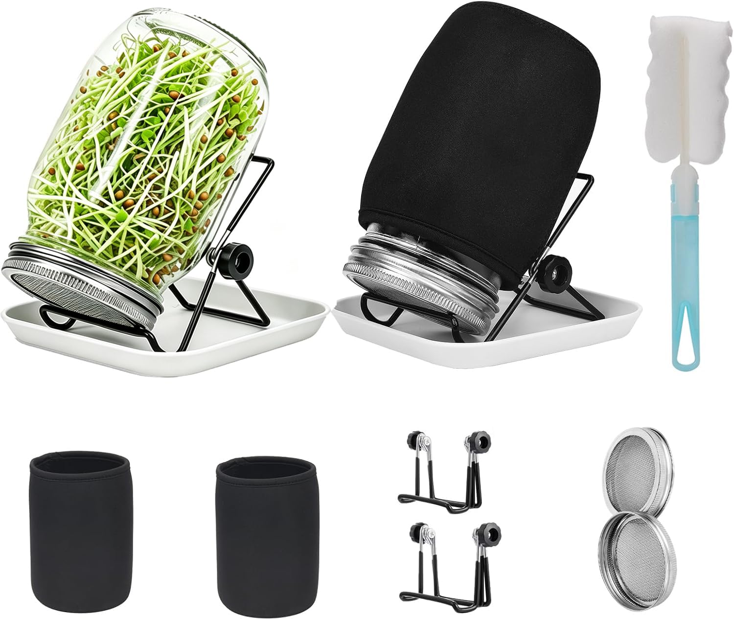 Lulonpon Sprouting Kit