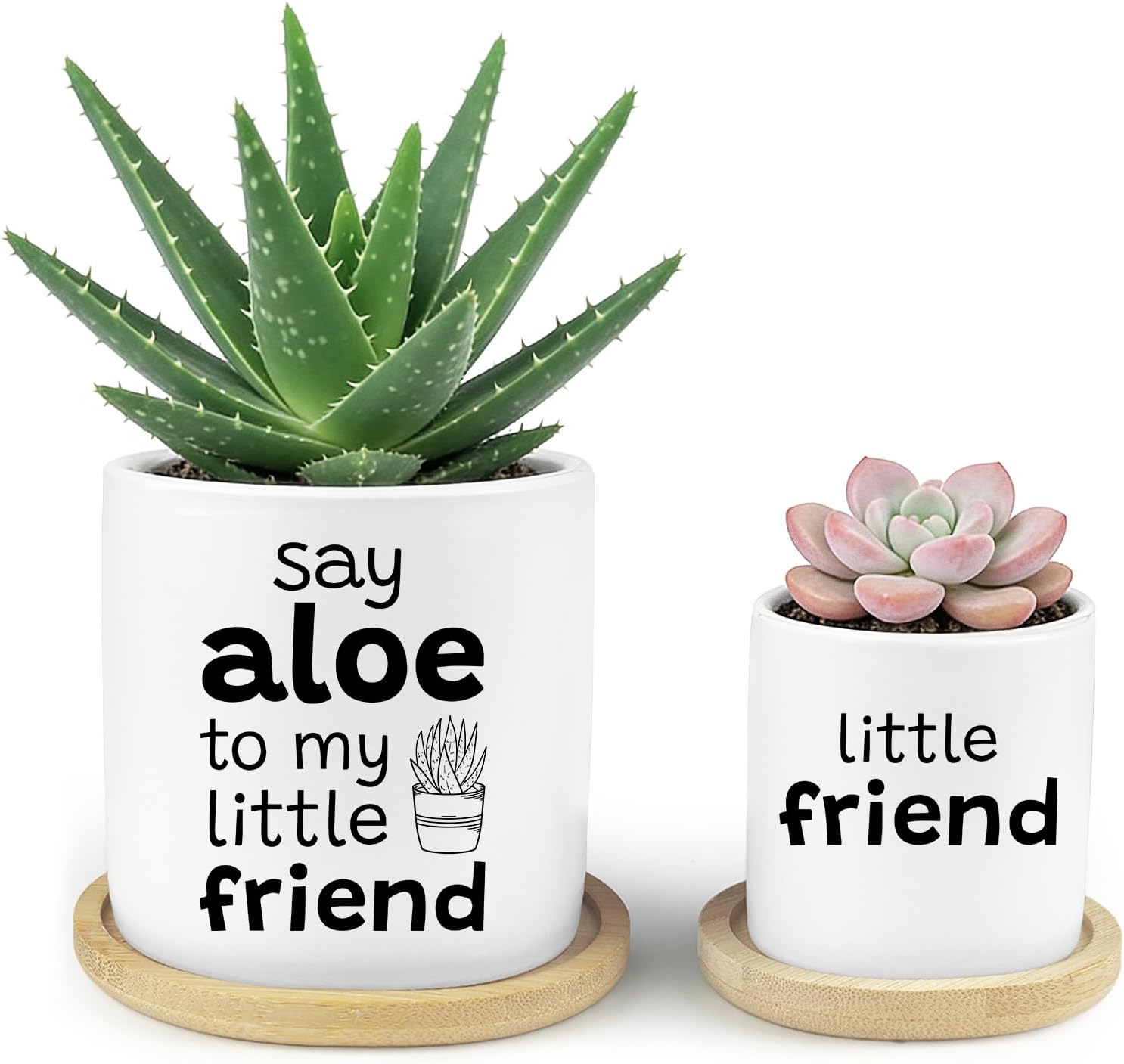 Say Aloe to My Little Friend Funny Succulents Plant Pots, Ceramic Cactus Planter Pot with Bamboo Tray for Indoor Outdoor, Aloe Pot for Plant Lover Friends Housewarming Gift, Set of 2 (No Plants)