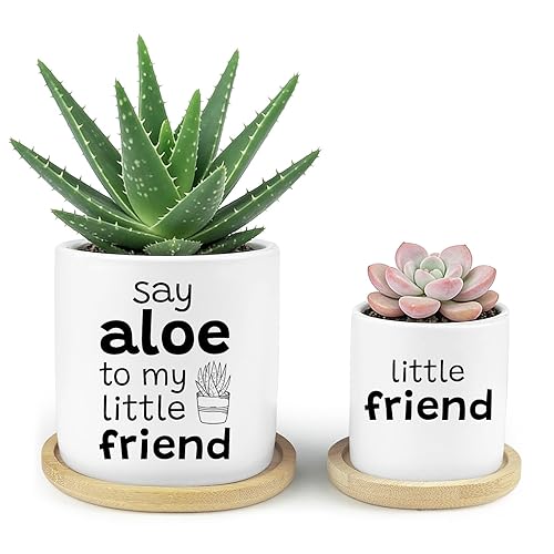 Say Aloe to My Little Friend Funny Succulents Plant Pots,