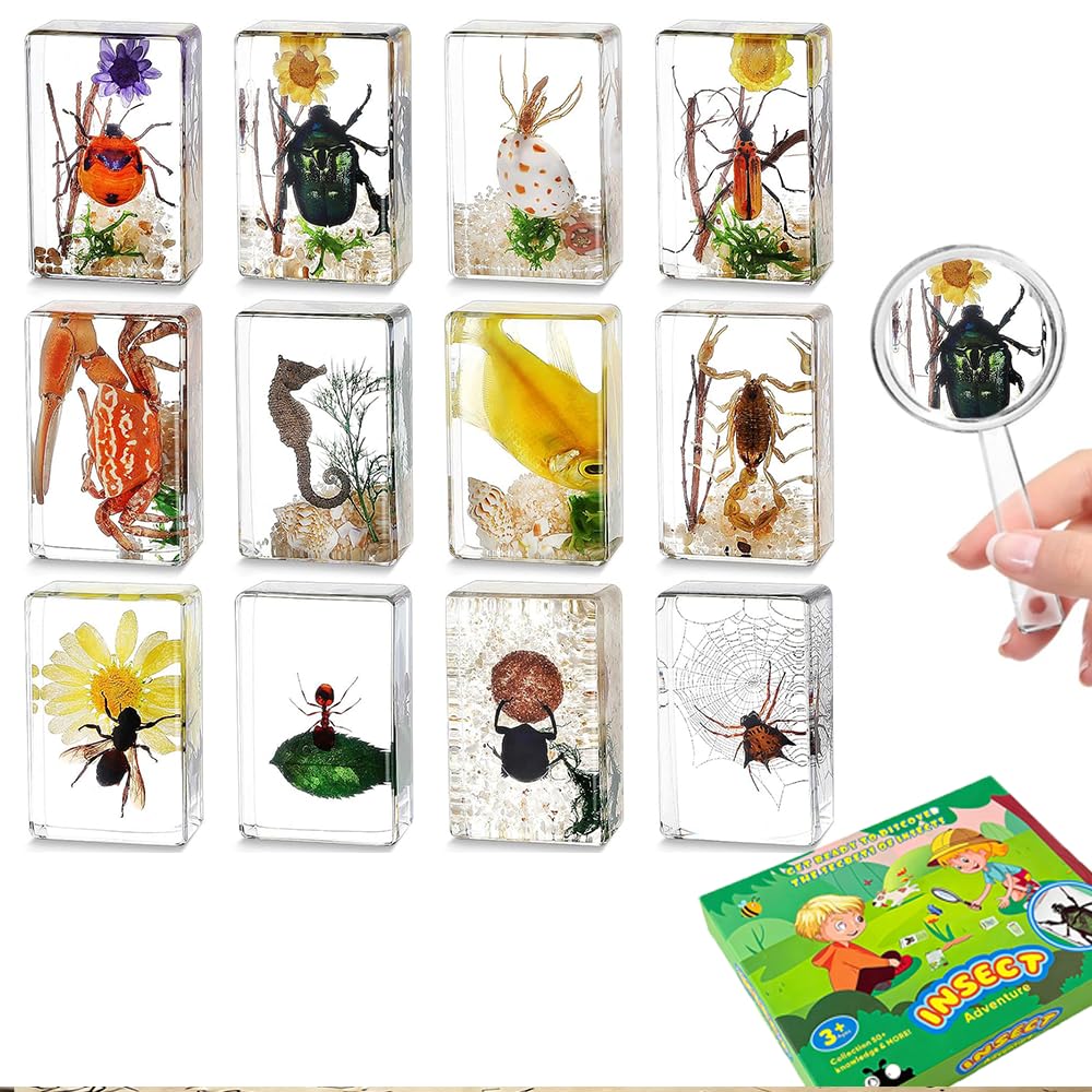12 Pcs Insect Taxidermy in Resin, Interesting Microlandscape Insect Specimen Set for Back-to-School Gifts Oddities Bug Collection Paperweights Science Education Supplies (Miniature scene)