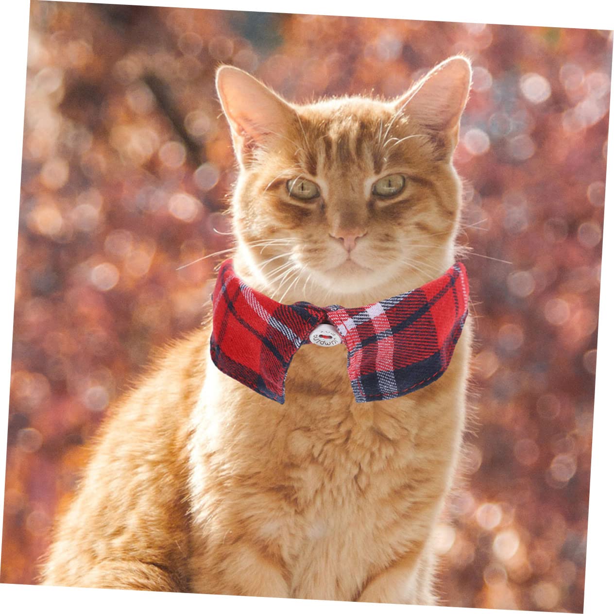 minkissy 10pièces Collier Réglable pour Chat Et Chien avec Cloche Lot de Rouge Accessoire Adorable pour Animaux De Compagnie