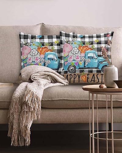 Miniatura 2 de MAIANNE Pack of 2 Cotton Throw Pillow Covers, Blue Truck Black Plaid Easter Bunny Tail Carrot Soft Square Pillow Covers Home Decoration Pillowcases