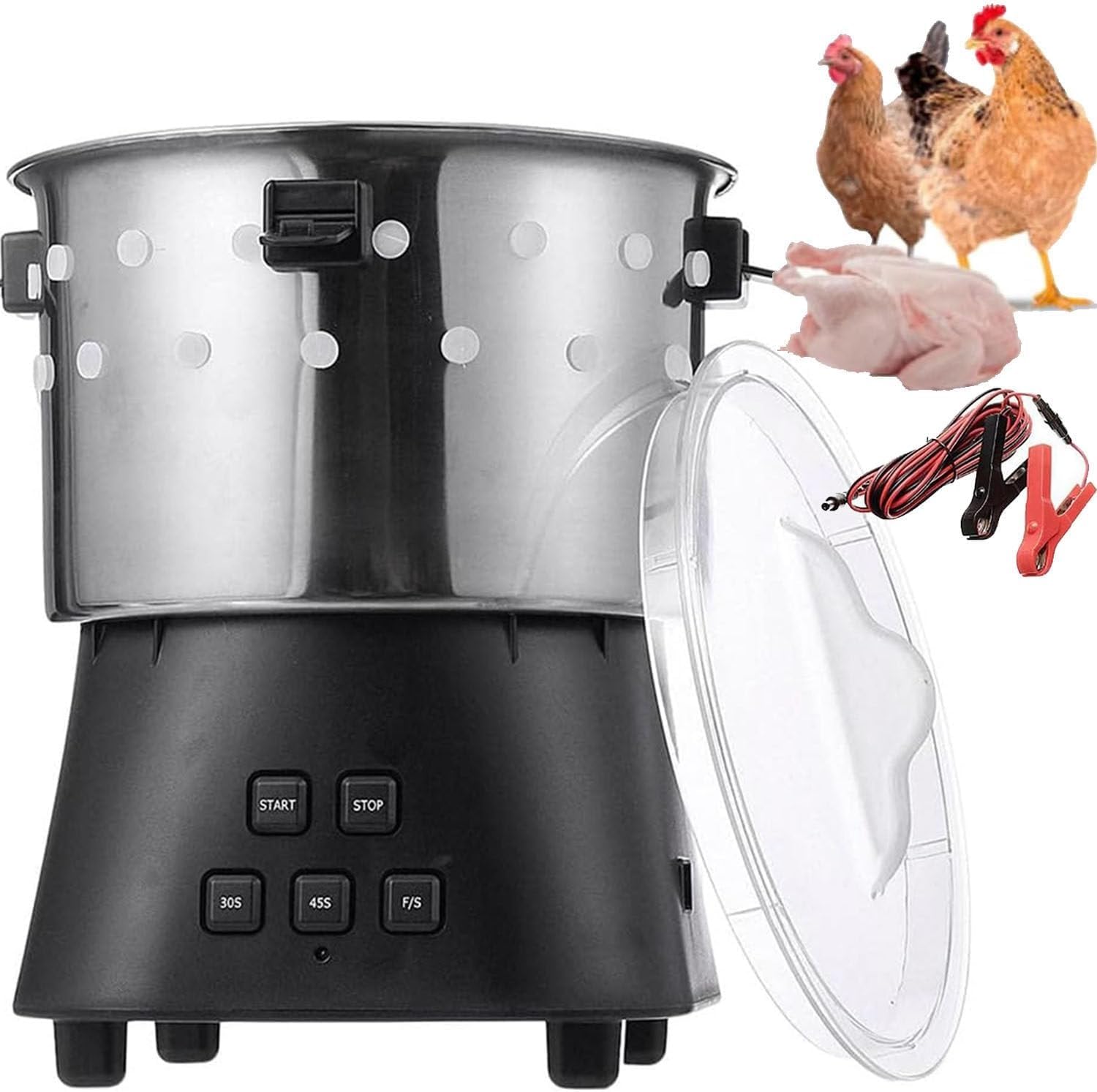 Mini spennatrice elettrica, in acciaio inox, per pollame e anatra di quaglia, efficiente rimozione delle piume per uso in cucina agricola