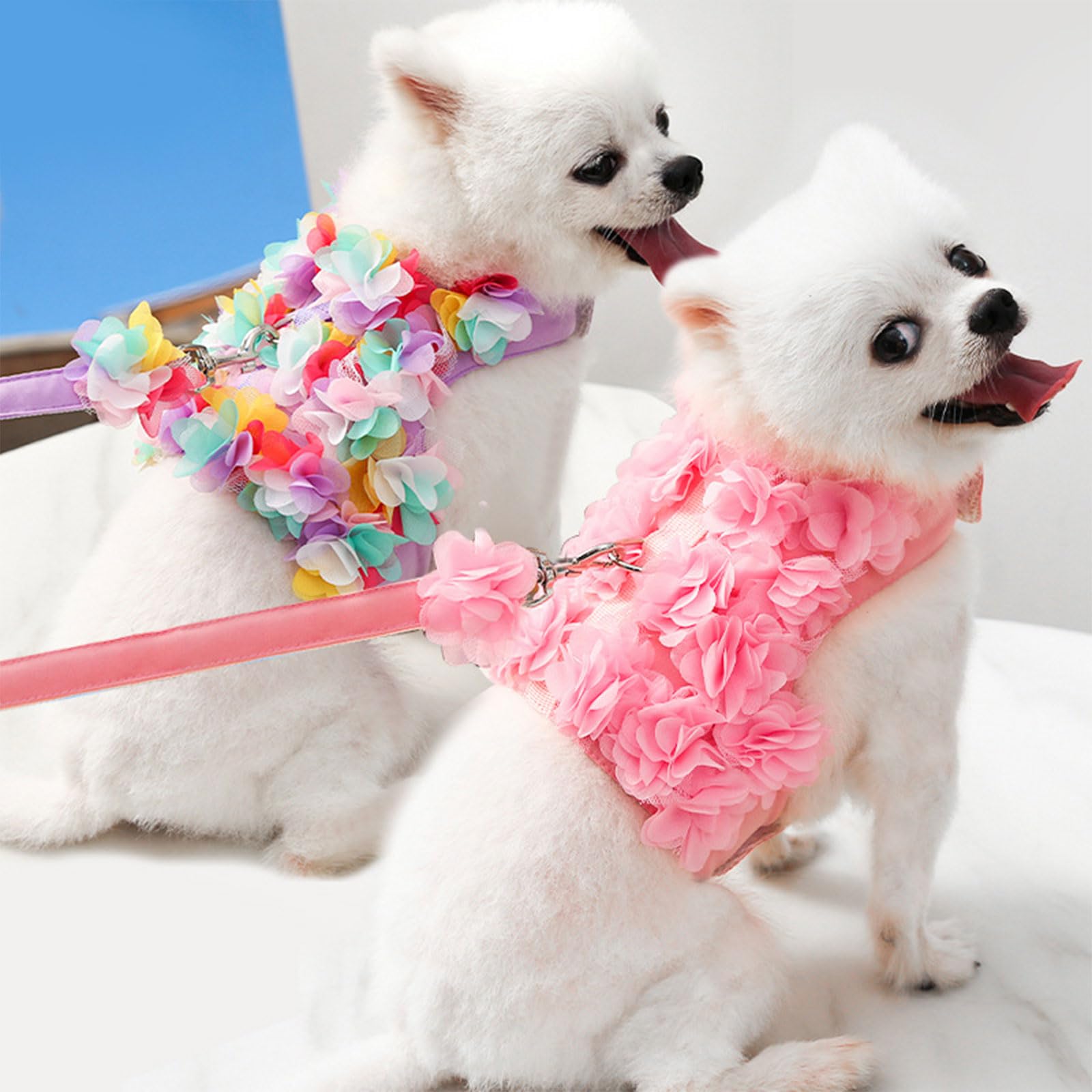 QWQJ Pet Dog Girl Dress with TractionRope Pullover Lace Dresses Dog Clothes Summer Dog Harness Dog Supply