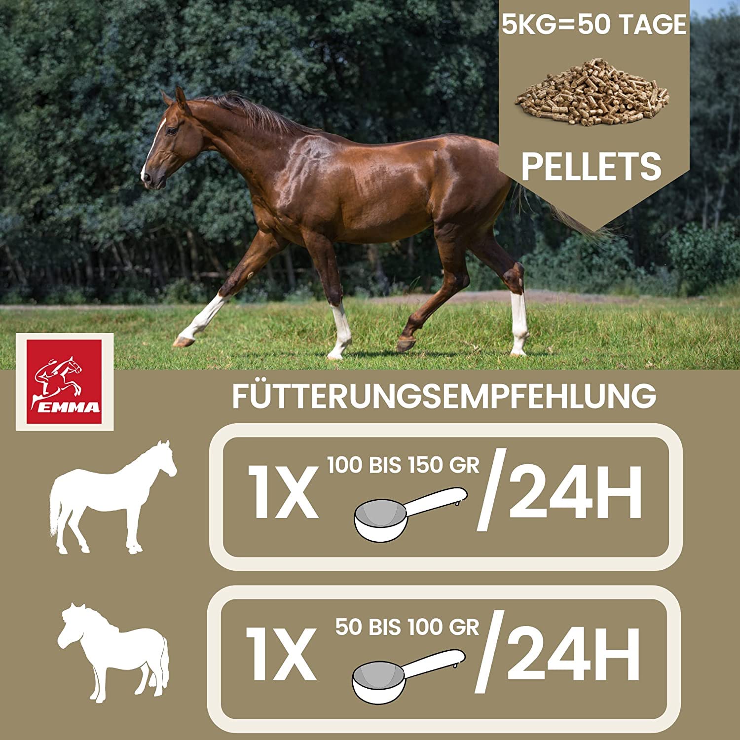 Mineralfutter Pferde 5kg + Vitamin B Komplex Liquid + Paste 30ml I Biotin Zink Selen Bierhefe I Fellwechsel Huf Haut I Magnesium Mangan Eisen Calcium I Ergänzungsfutter für Energie Vitalität Leistung
