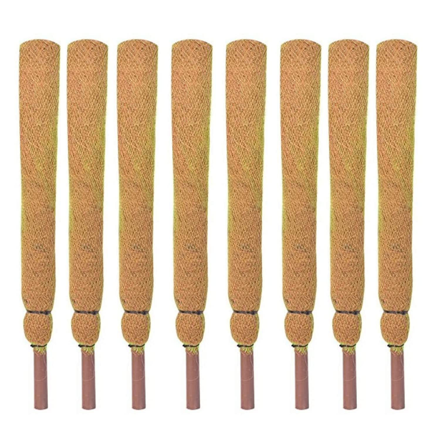 Mats Avenue Coco Pole Coir Stick Moss Stick for Indoor, Out Door Garden Plant Creepers Support (Brown, 2 ft/60 CM) with 10 Meter Jute Yarn for Tying Plants (Set of 8)-image-17