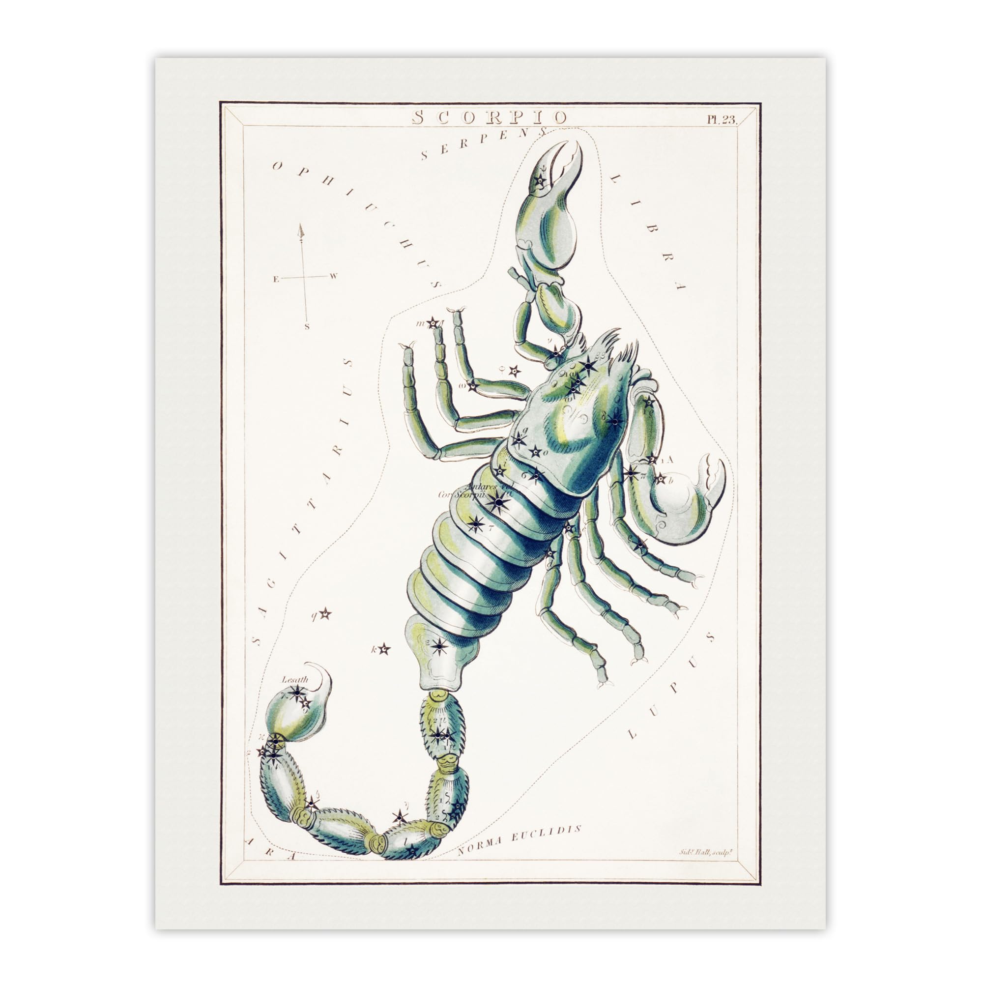 Artery8 Astronomical Chart Illustration Of Scorpio Hall Wall Art Poster Print 12X16" Size 12