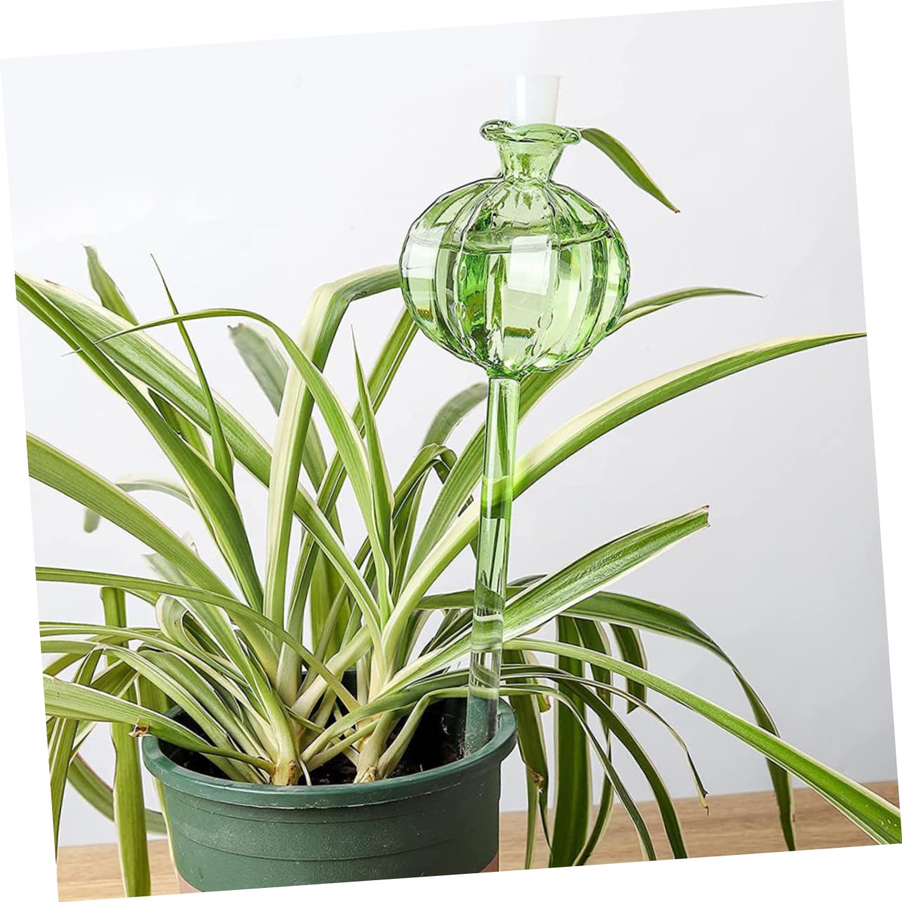BESTonZON Globes D'arrosage Forme Cactus Lot de 4 en Verre Borosilicate Arrosage Automatique Vert Décoratif Facile pour Garder Vos Plantes Hydratées pour Bonsaïs et Plantes en Pot