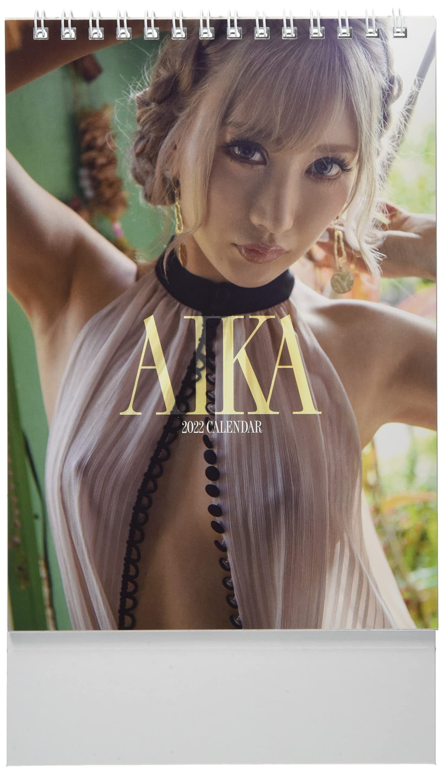 Amazon.co.jp: わくわく製作所 卓上 AIKA 2022年 カレンダー CL22-1768
